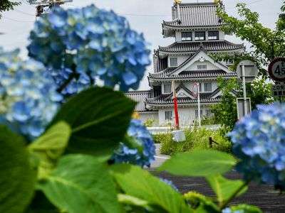 あじさい街道　墨俣