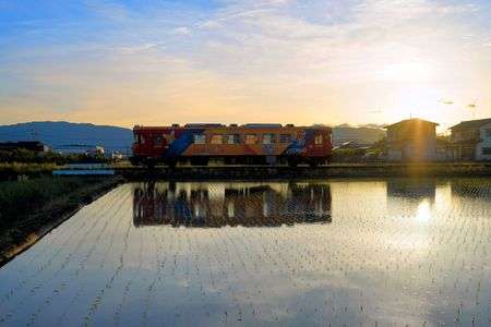 水田　樽見鉄道