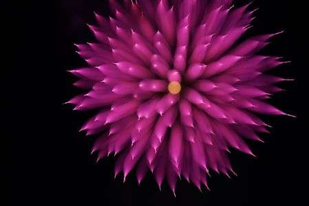 岐阜県関市　花火