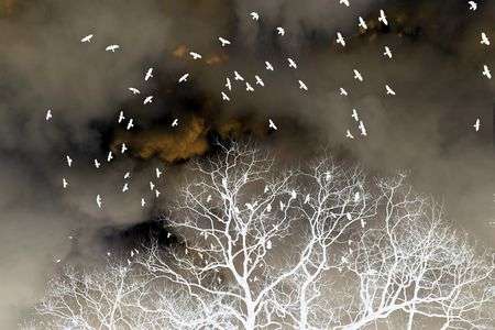 ネガティブな光景