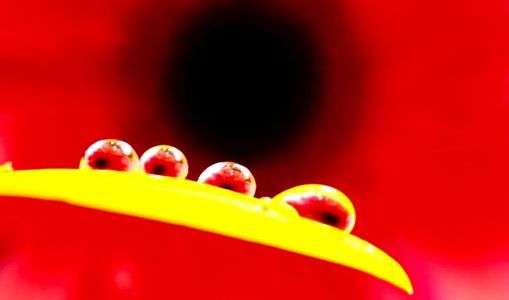 しずくのお勉強