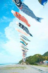 元気いっぱい泳ぐよ！