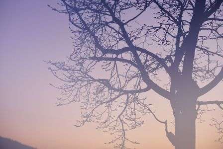 由布院   夕暮れ散歩