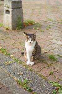 αアカデミースナップ撮影講座