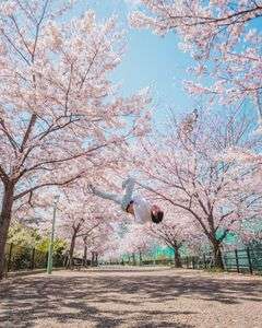 Cherry Blossom -Tricking Self Portrait-