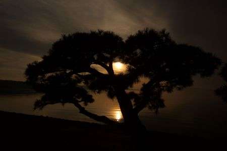 宍道湖の夕日