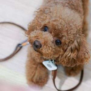 梅雨、明けないね。。。