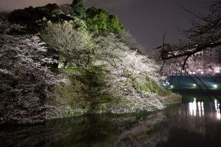 千代田さくらまつりにて