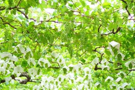 待ちきれない感じ