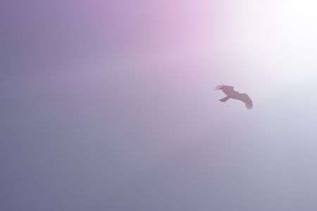 ビギナーズラック！！