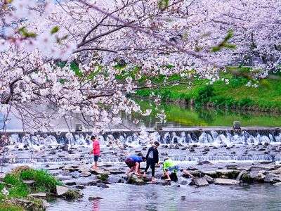 子供達は元気に水遊び！