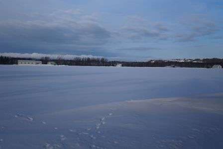 身近な雪原