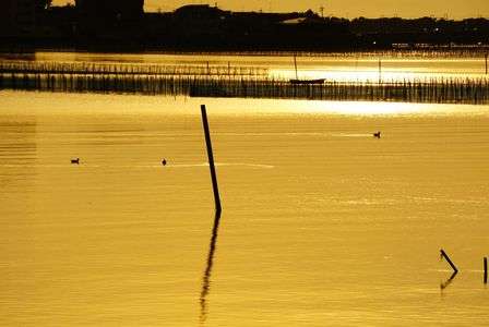 浜名湖の夕暮れ