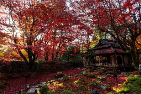 息を呑む美しさ