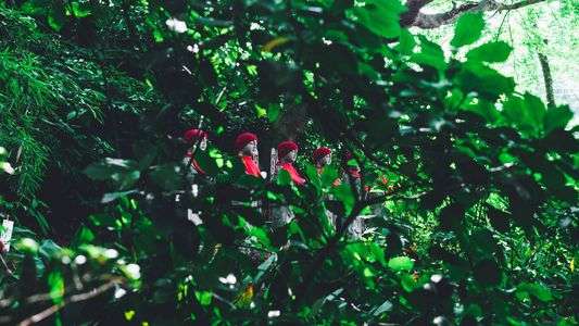 Someone Watch Over You.