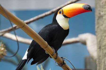 福山市立動物園