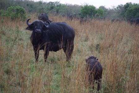 初めて歩いた日