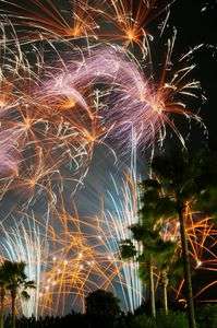 花火大会とヤシの木