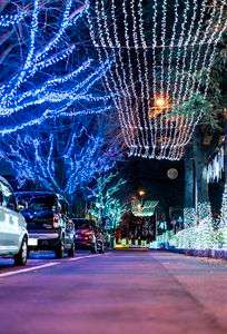 周南市ツリーまつり