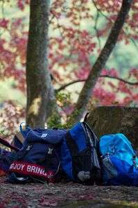 秋のカメラ散策