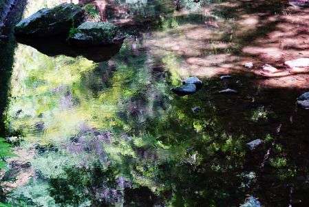 絵画のような川のリフレクション