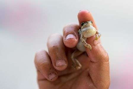 昔は触れたけど今は無理！