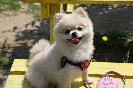 はじめまして！