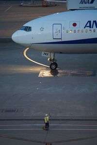 行ってらっしゃいノシノシ