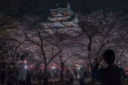 春の大阪の夜