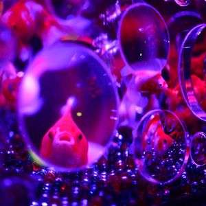 Hot fun in the funny face