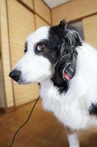 どこまで行ったら未来だろう