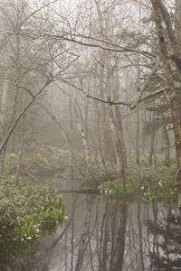 北海道旅行【知床】