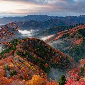 本気のおにゅう峠