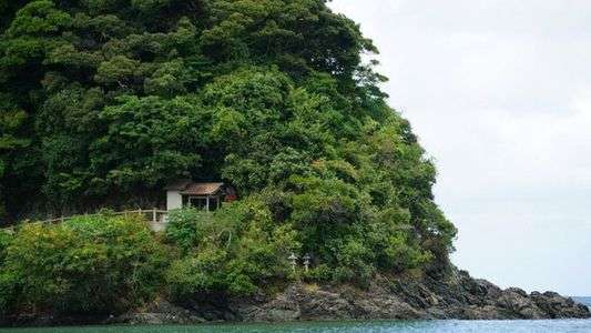城山海水浴場　恵比寿神社