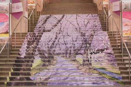 もう一つの背割堤。階段アート