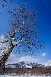 久し振りの晴れ間