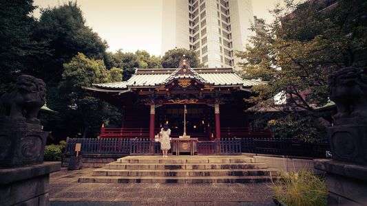 SONY_a7s_TEST_20170903_003