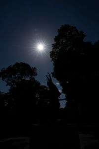 岡崎公園散策　（24mmGM試写）　