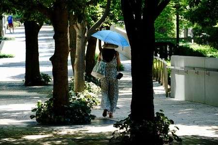 照りつけるー２