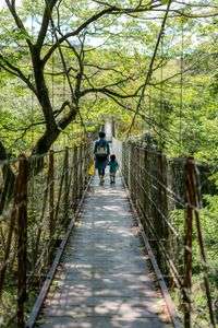 お母さんといっしょ