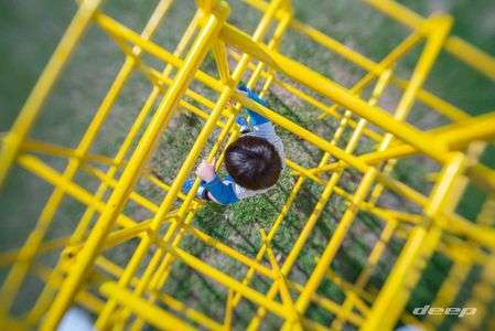 さ〜上まで登るぞ〜