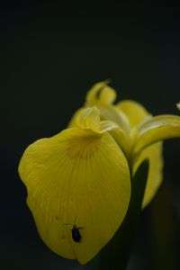 落ちないように頑張っています。