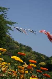 五月晴れのある日