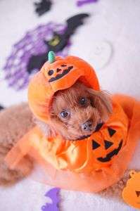 Happy Halloween♪