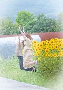 ひまわりと青春