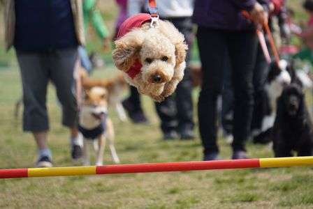 イベントにて   1