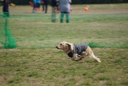 イベントにて   2