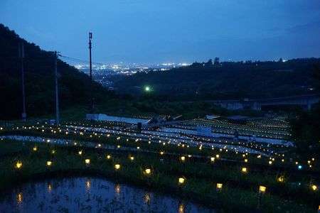 棚田ライトアップ