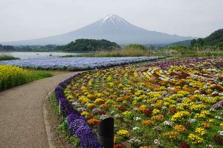 華やかな季節！