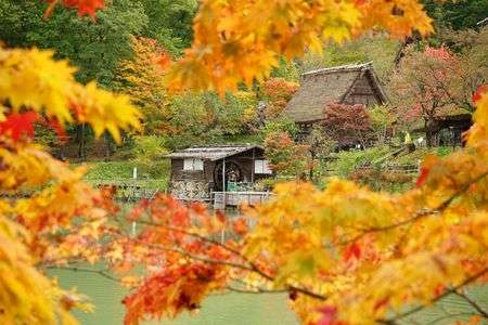 もみじフレーム